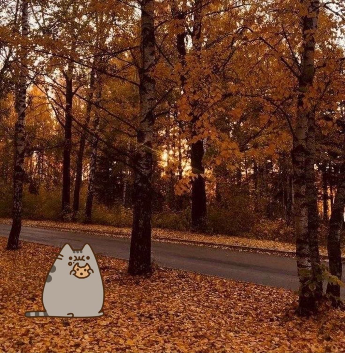 Autumn songs that are a MUST add to your playlist this season