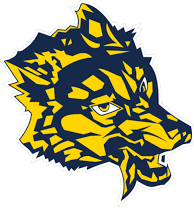 8th grade girls Gold v. Blue volleyball game